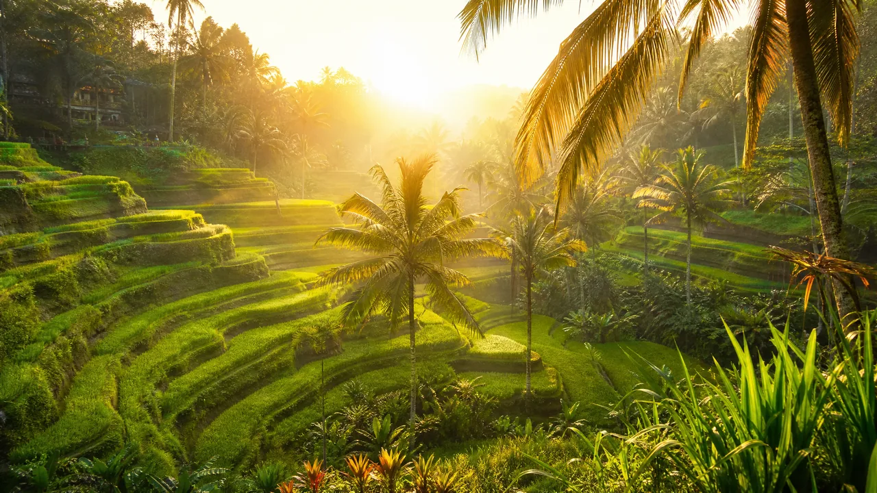 Bali für digitale Nomaden 2026: Visa, Kosten, beste Orte & Tipps