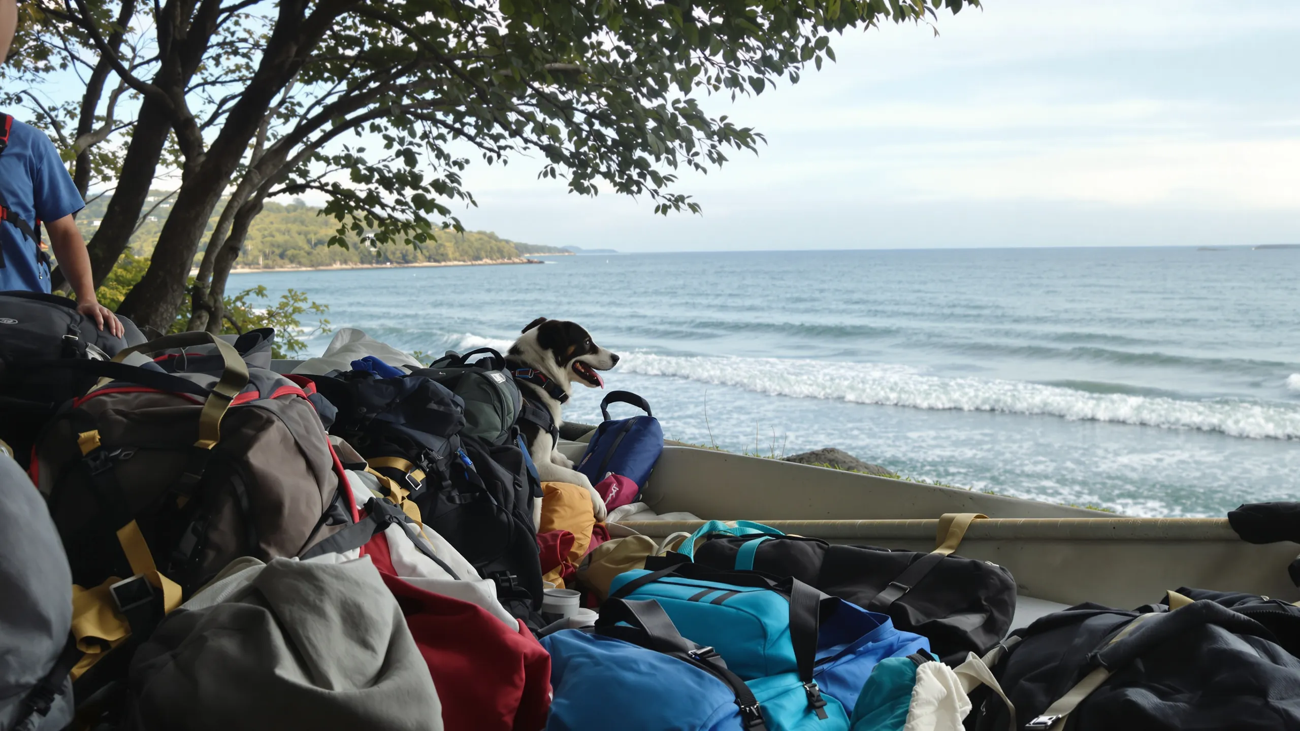 Hund ruht auf gepackten Reiserucksäcken am Meer