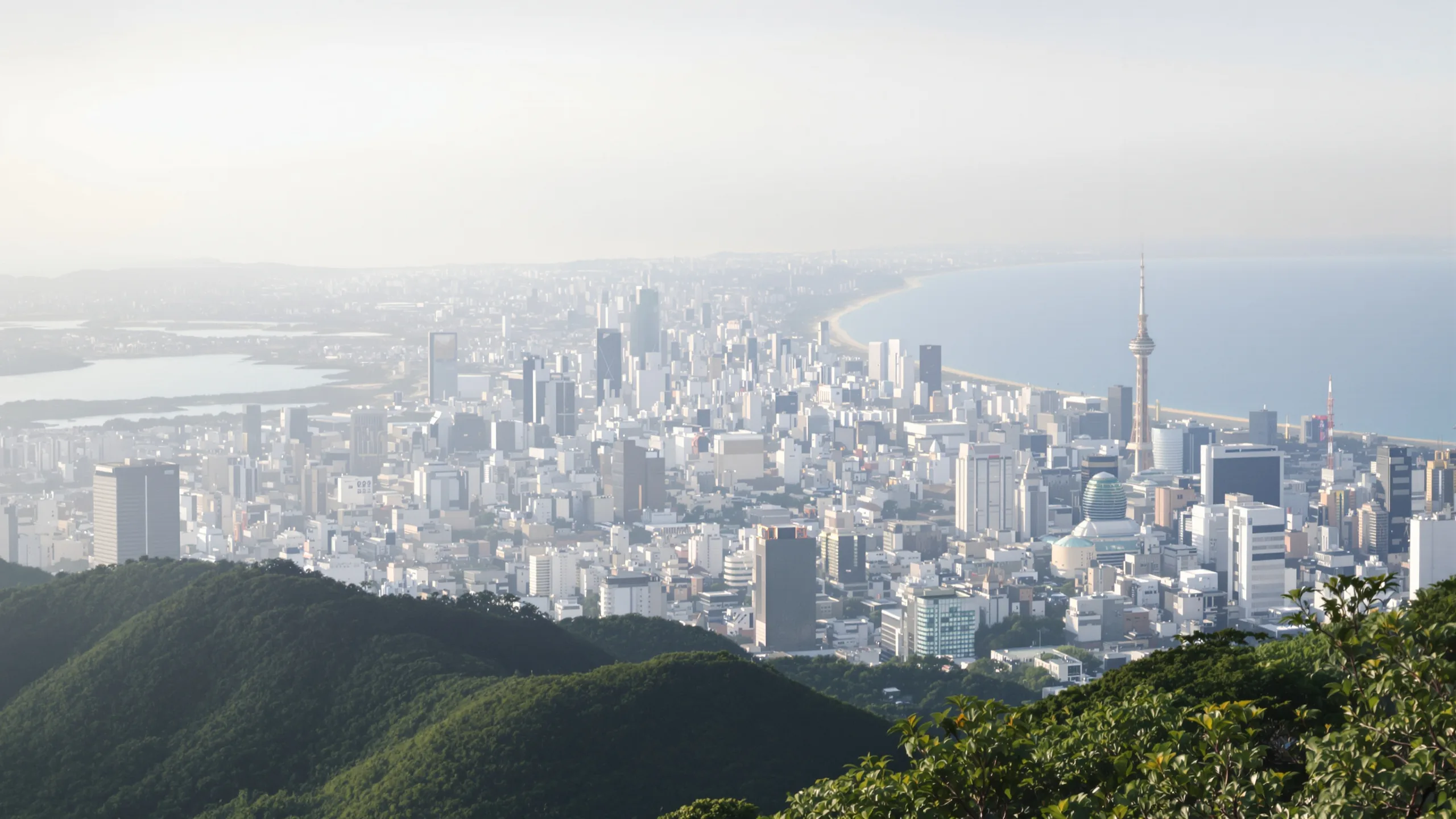 Japan Digital Nomad Visum